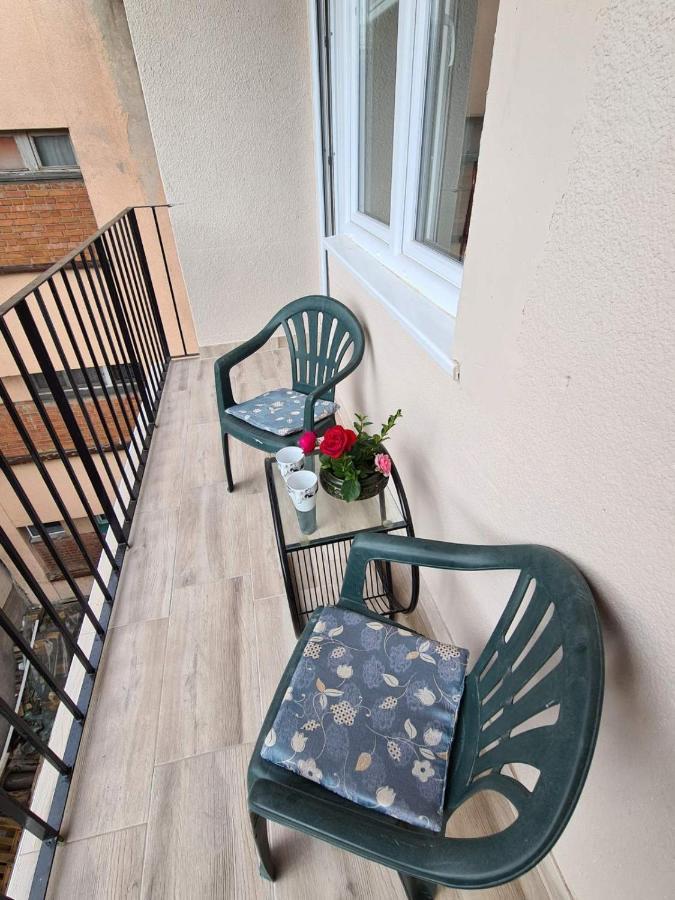 Apartman Petrov Donji Milanovac Exteriér fotografie