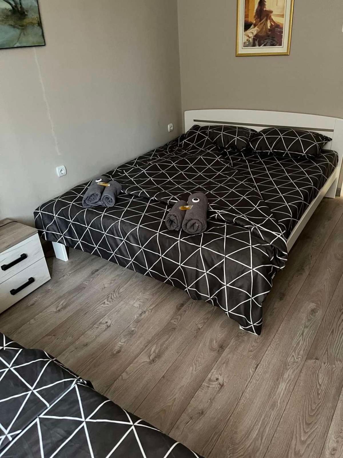 Apartman Petrov Donji Milanovac Exteriér fotografie