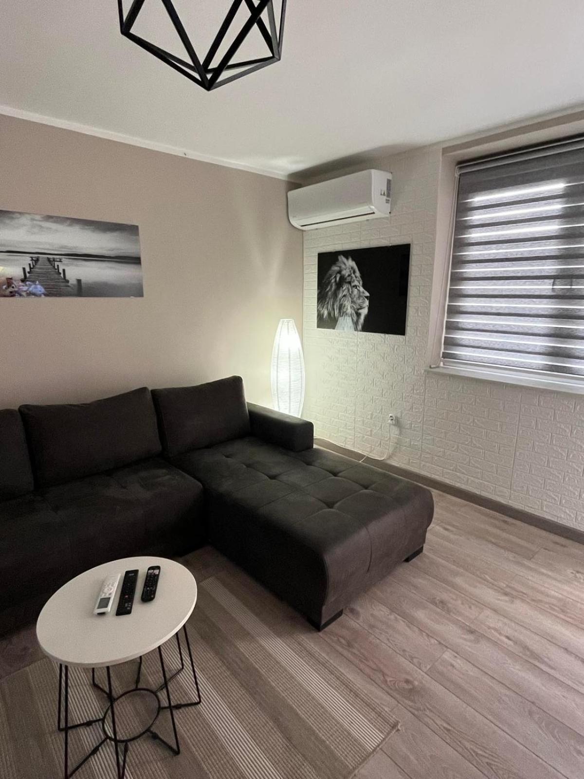 Apartman Petrov Donji Milanovac Exteriér fotografie
